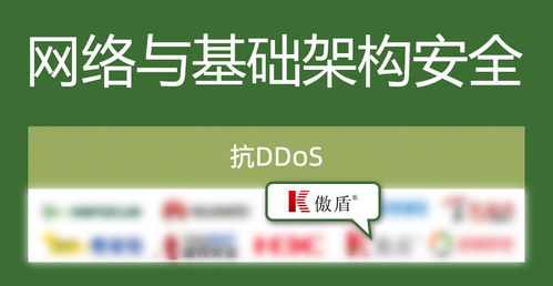 實力入選丨傲盾入選數(shù)說安全 2025年中國網(wǎng)絡(luò)安全市場全景圖 數(shù)字內(nèi)容制作服務(wù)